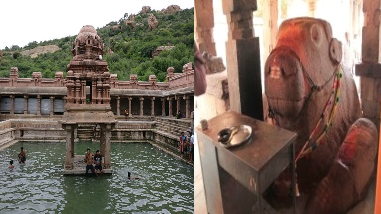 Yaganti Uma Maheswara Temple Nandi Size Growing Mystery