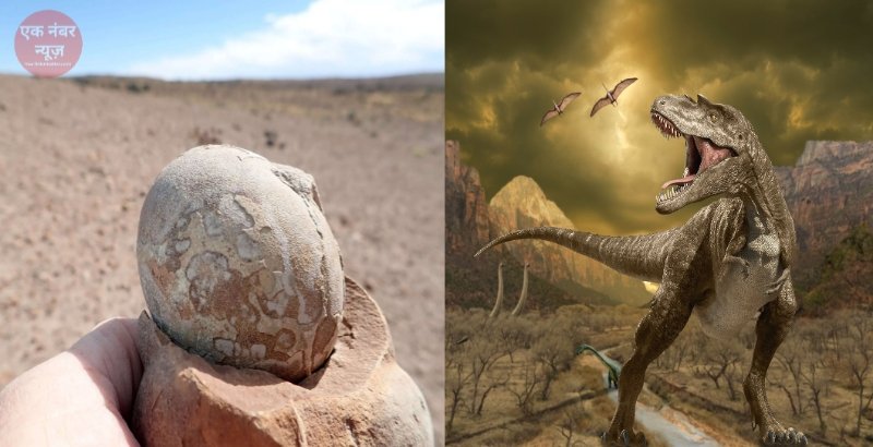 Dinosaur eggs in Argentina Dinosaur eggs in Argentina