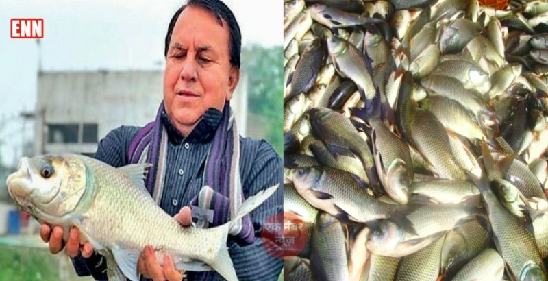 yatindra kashyap fishery business