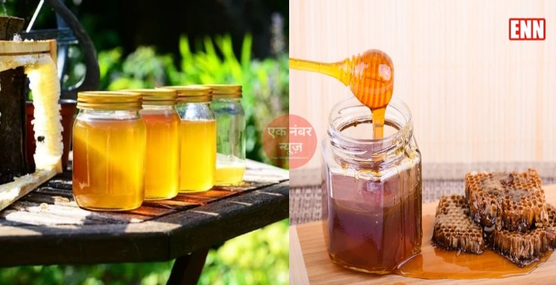 Bihar Honey Plant