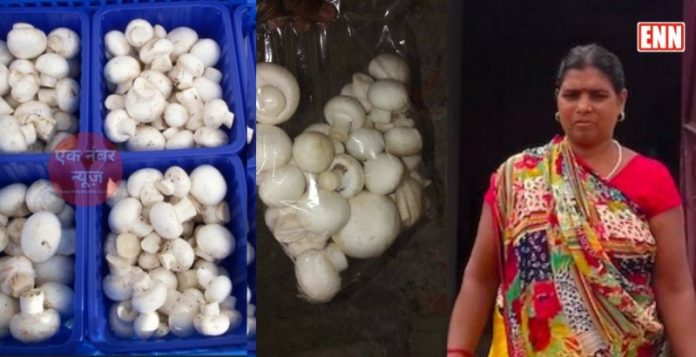 Mushroom Lady Anita Devi Bihar