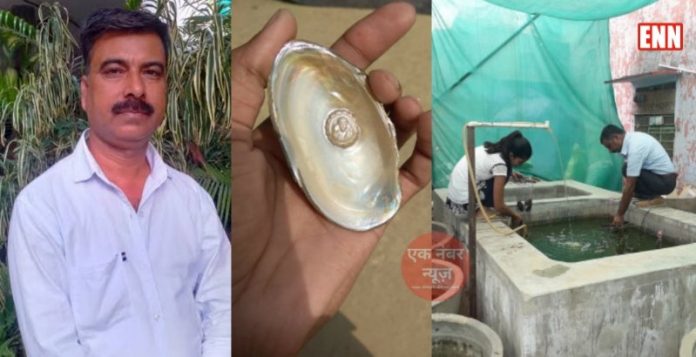Pearl Farming Business