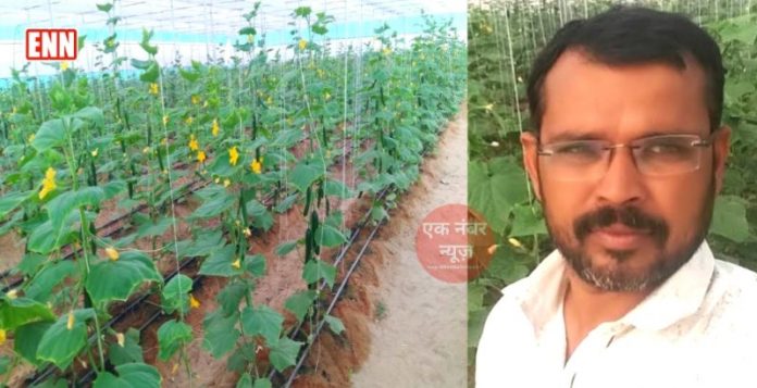 Kheere Ki Kheti Se Kamai Kheere Ki Kheti Se Kamai