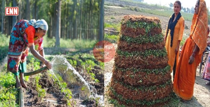 Berkeley Compost Barkale khaad Berkeley Compost Barkale khaad