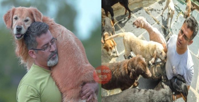 Rajesh Shikla Dogs