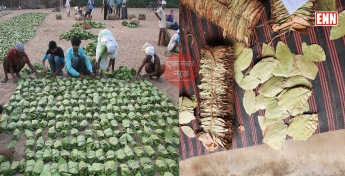 Tendu Leaves business