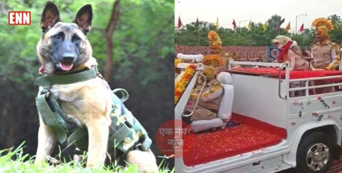 CRPF Dog Rani