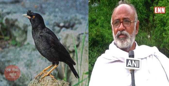Muthu Murugan