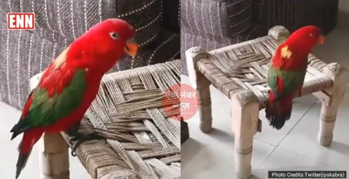 speaking tota speaking tota