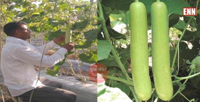 Haryana Progressive Farmer Haryana Progressive Farmer