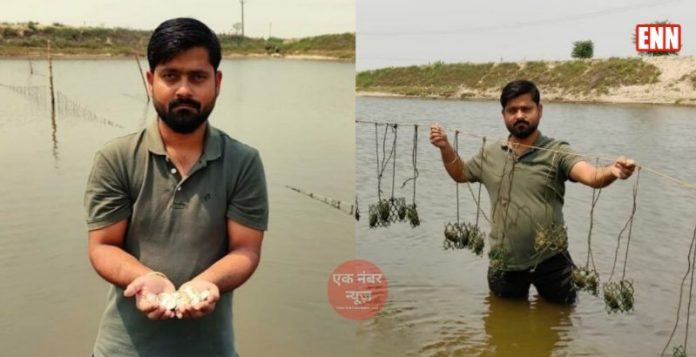 Nitil Bharadwaj Nitil Bharadwaj