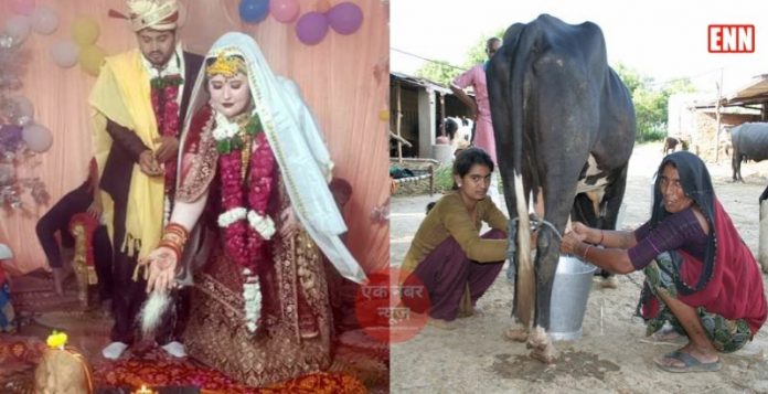 Foreign daughter in law