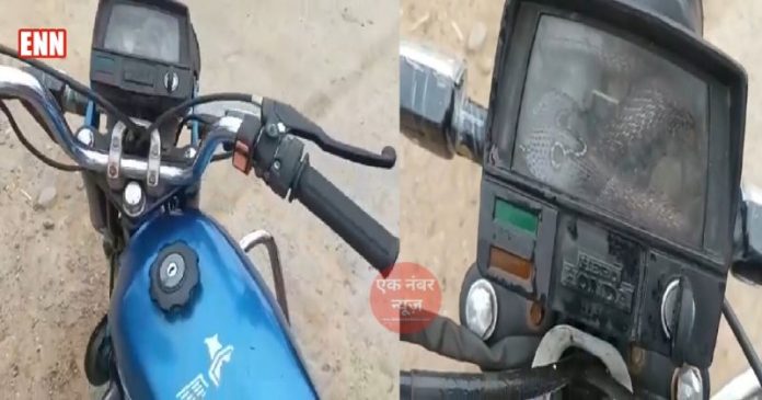 Snake in bike