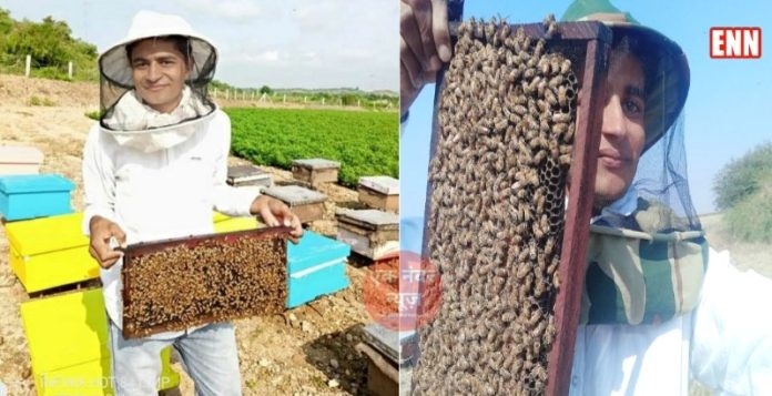 bee keeping business