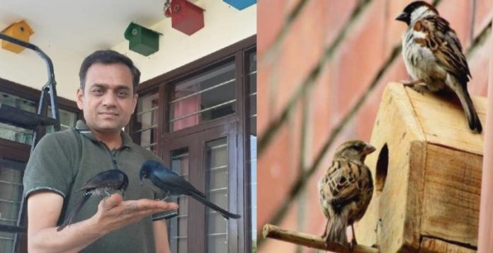 Birds Lover