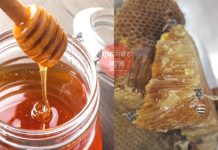 लाखों रुपये प्रति KG बिकने वाले शहद की खासियत जाने, दुनिया का सबसे महंगा शहद है Most Expensive Honey